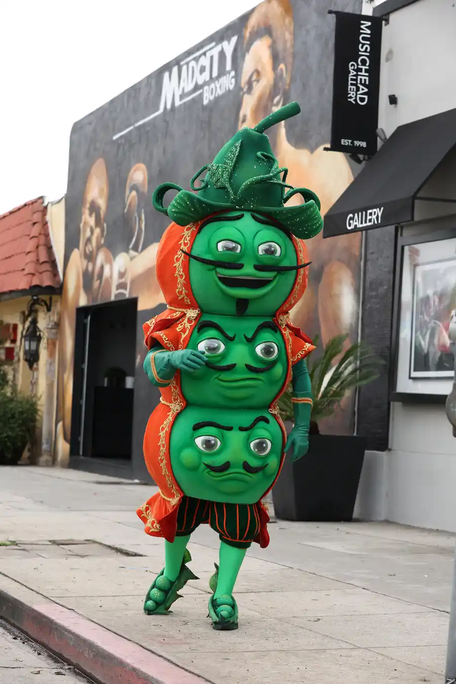 Who Is Fuzzy Peas on The Masked Singer Season 13 Sneak Peek Clues