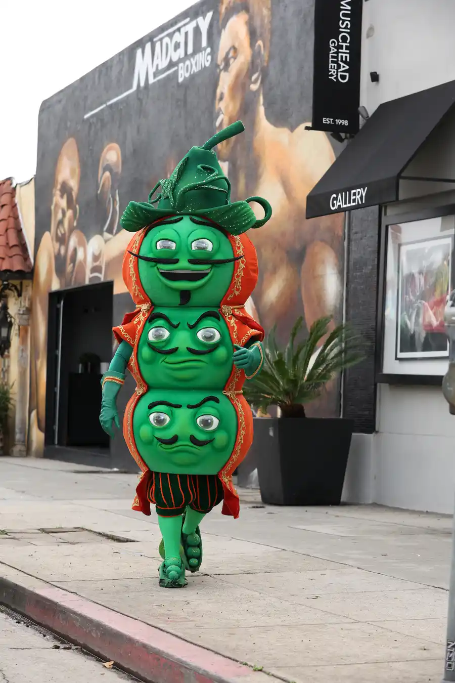 Who Is Fuzzy Peas on The Masked Singer Season 13 Sneak Peek Clues