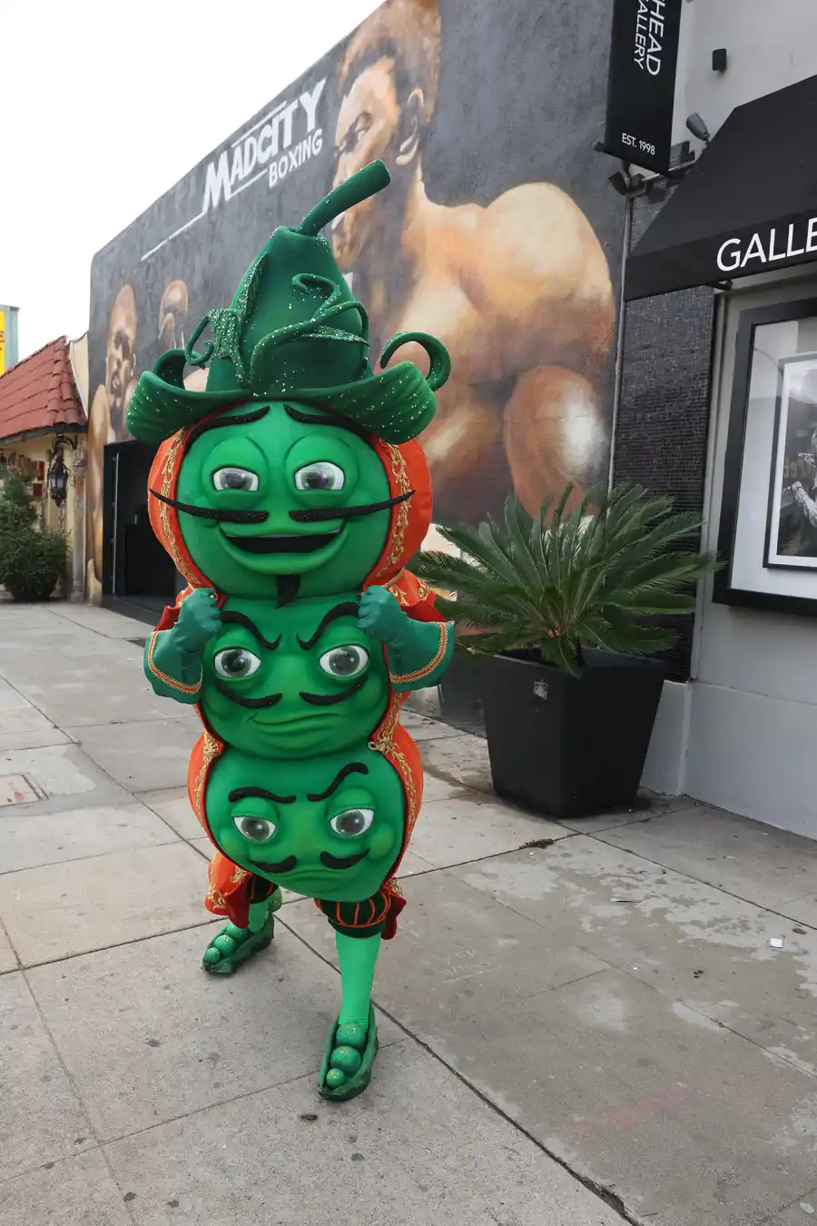 Who Is Fuzzy Peas on The Masked Singer Season 13 Sneak Peek Clues