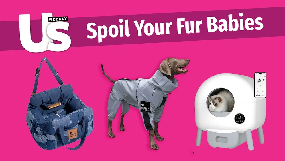 Luxury Handbag Shopping logo and pet accessories