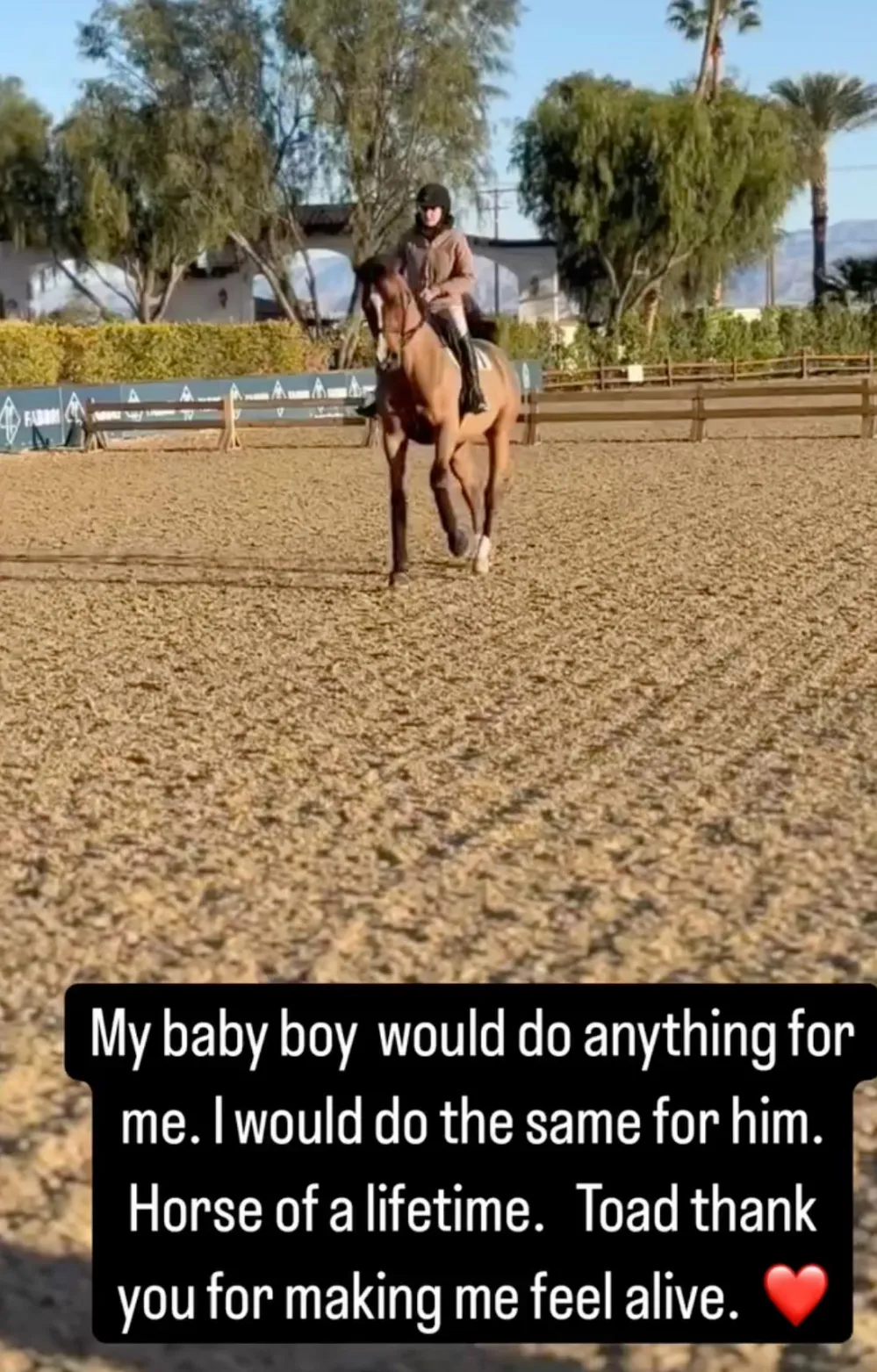 Teddi Mellencamp Rides Horse for 1st Time Since Brain Surgery