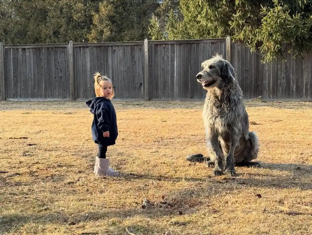 Travis Kelce and Donna Kelce Send Love to Jason and Wife Kylie After Dog Baloos Death