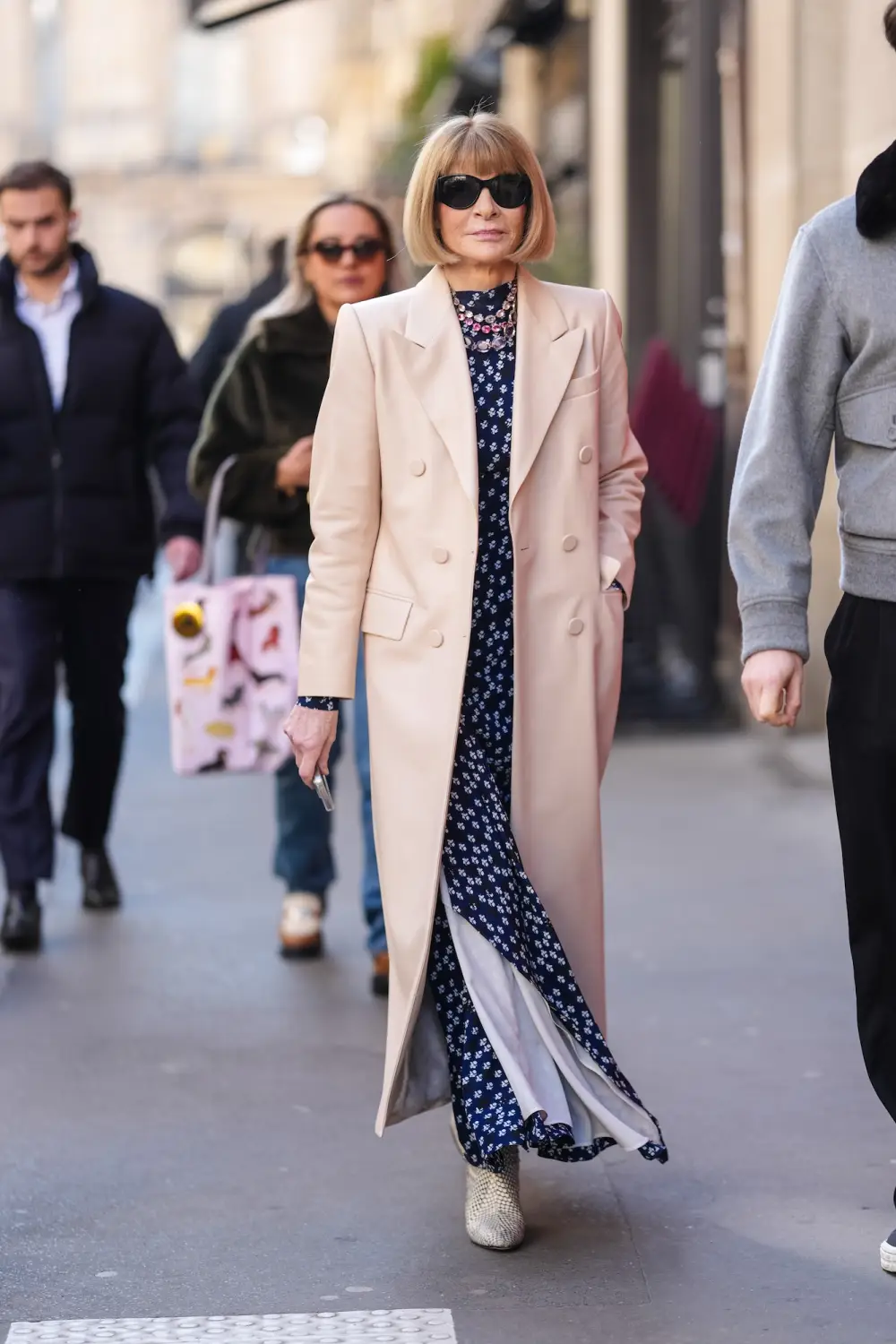 Anna Wintour Only Packed One Pair of Shoes for Paris Fashion Week