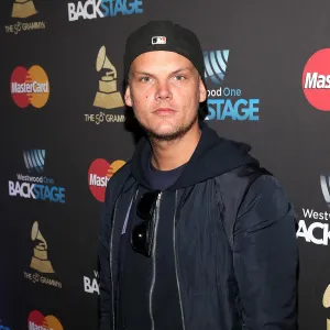 Aviciis 2018 Death Co Occuring Disorders Explained He Really Struggled