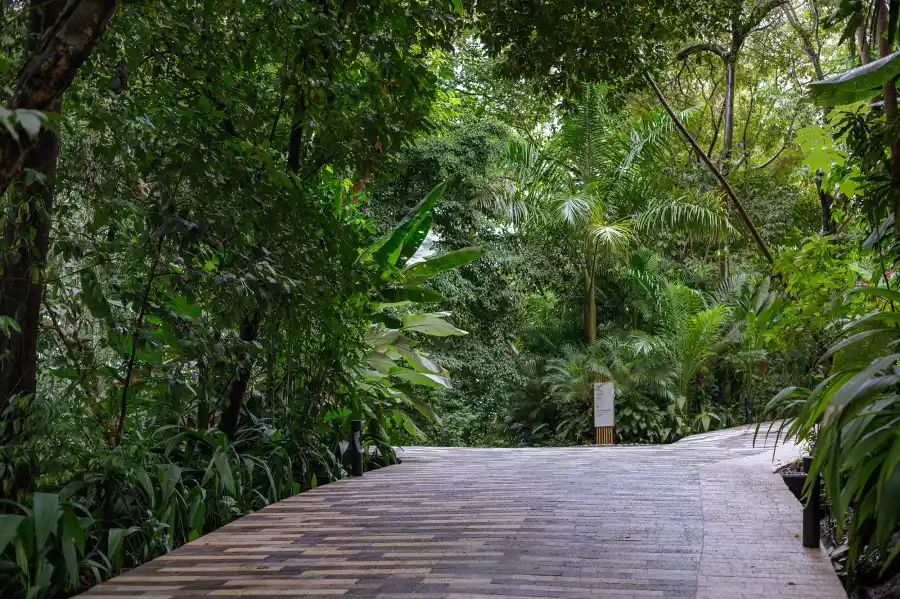 Brett Gardner Resort Photos