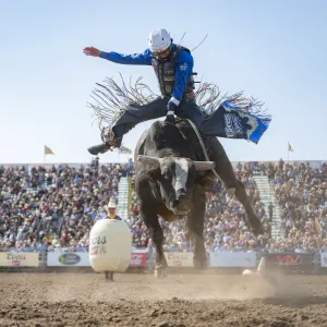 Cassie DiLaura for Desert Rodeo