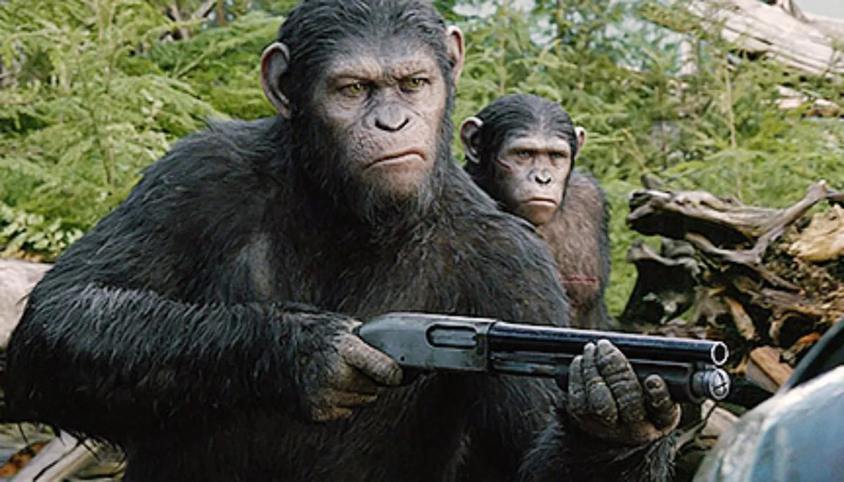 Apes arm themselves with guns in Dawn of the Planet of the Apes.