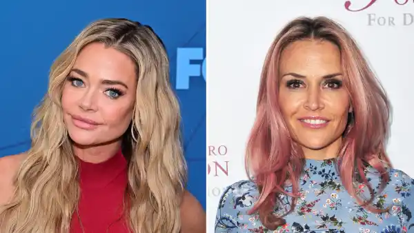 Denise Richards and Brooke Mueller Relationship Explained