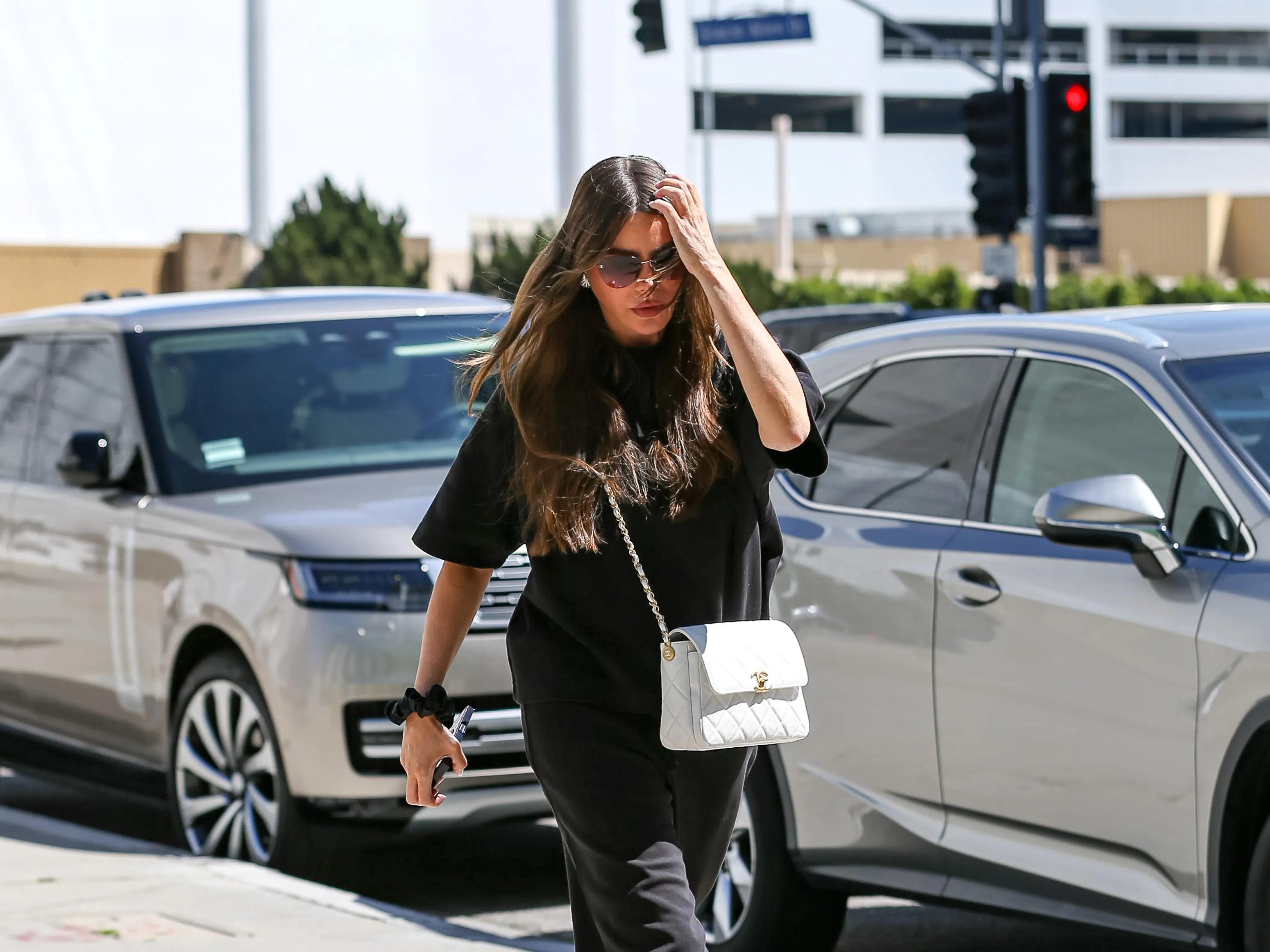 Sofia Vergara is seen on March 24, 2025 in Los Angeles, California.