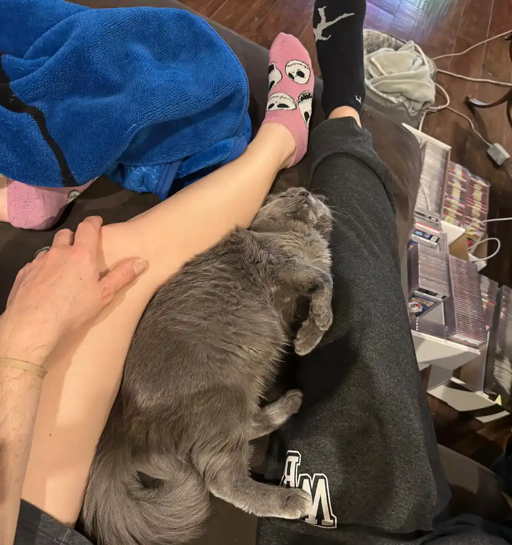 Ghost Adventures Aaron Goodwin Wife Victoria Goodwin Posed for Cozy Photo 1 Week Before Murder Plot