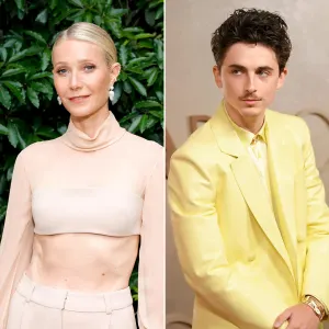 Gwyneth Paltrow Has A Lot of Sex With Timothee Chalamet in New Movie