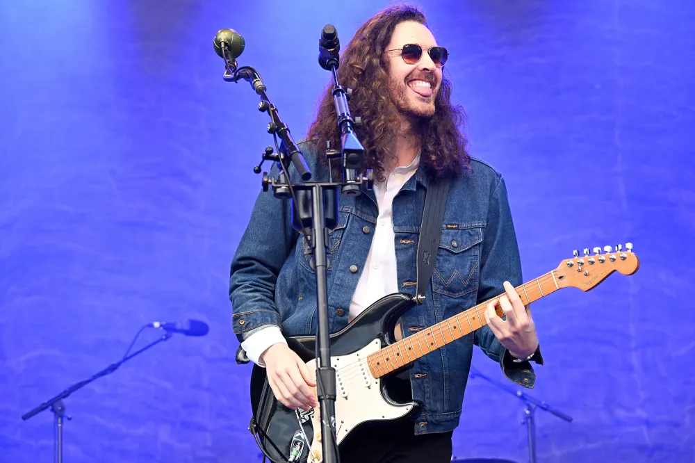 Hozier performs at a music festival