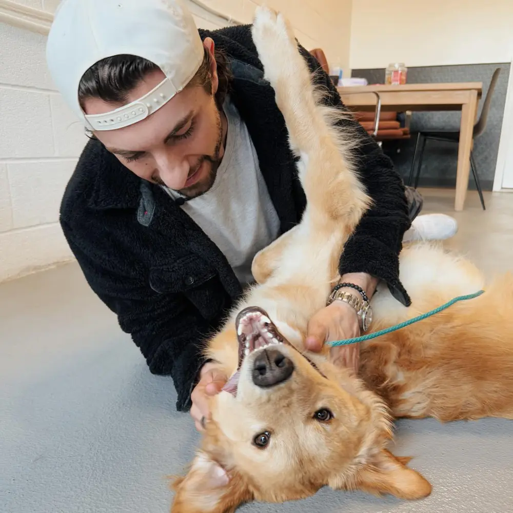 Jason Tartick Adopts a Dog After Pet Custody Drama With Ex Kaitlyn Bristowe