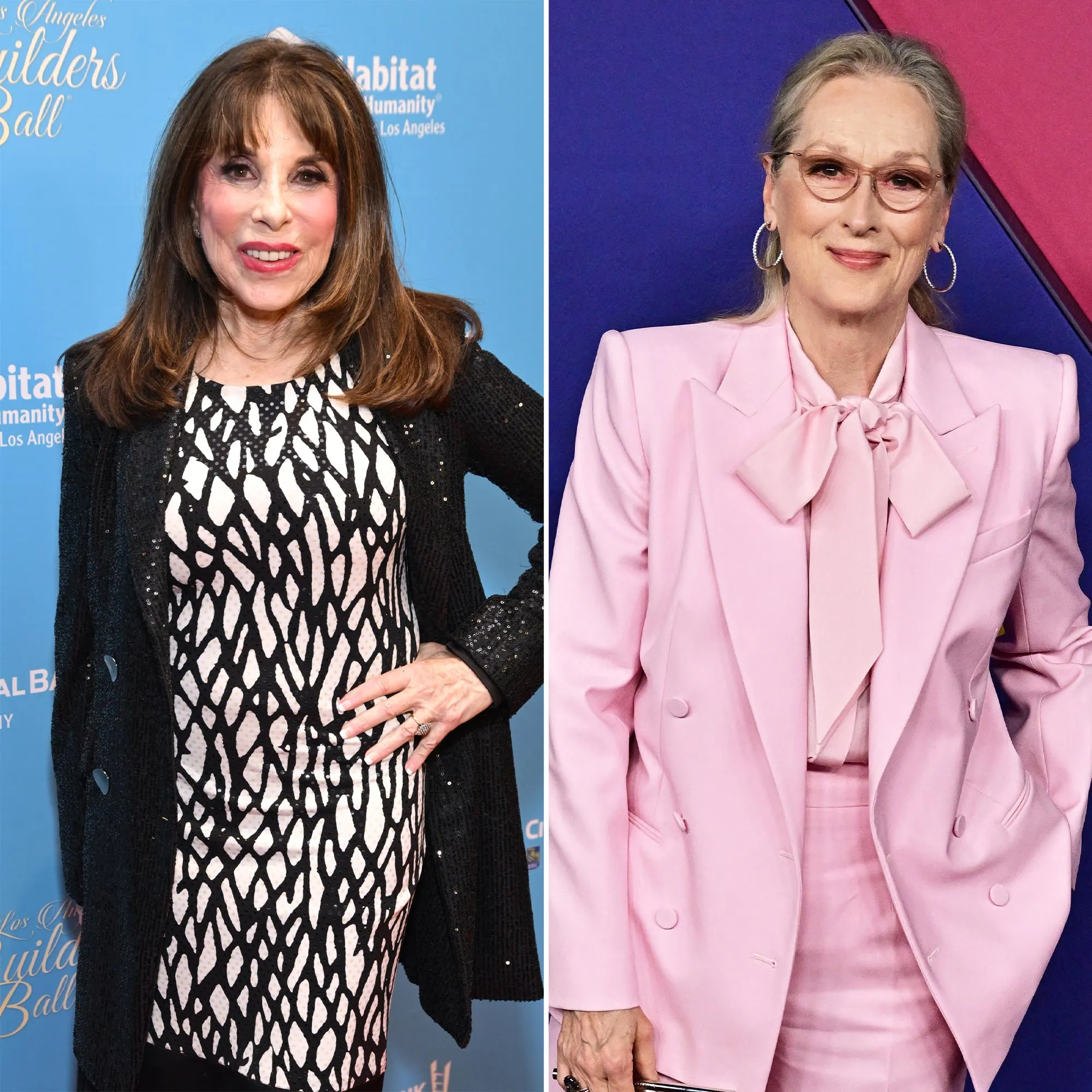 Kate Linder Makes a Case for Why Meryl Streep Should Guest Star on The Young and The Restless