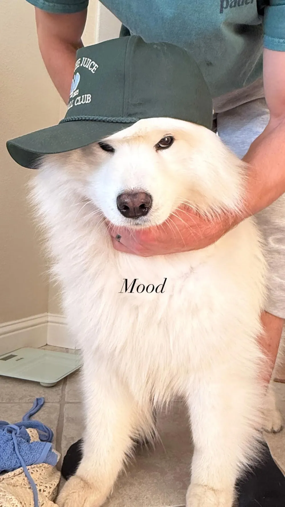 Kristin Juszczyk Reacts to News of Husband Kyle Juszczyks 49ers Release