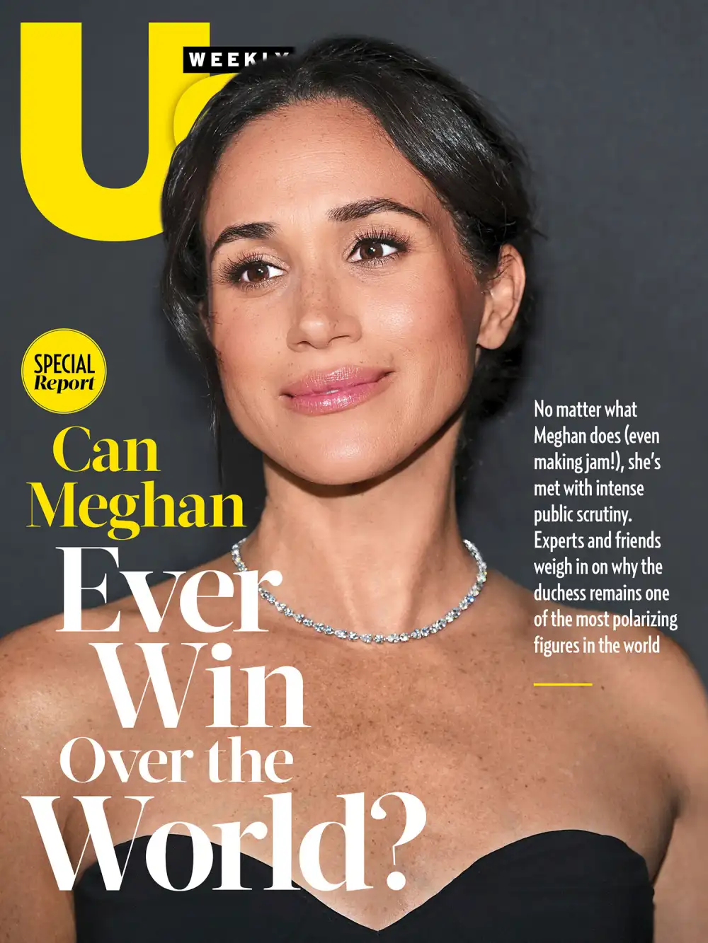 Meghan Markle 2514 Luxury Handbag Shopping Cover No Chip