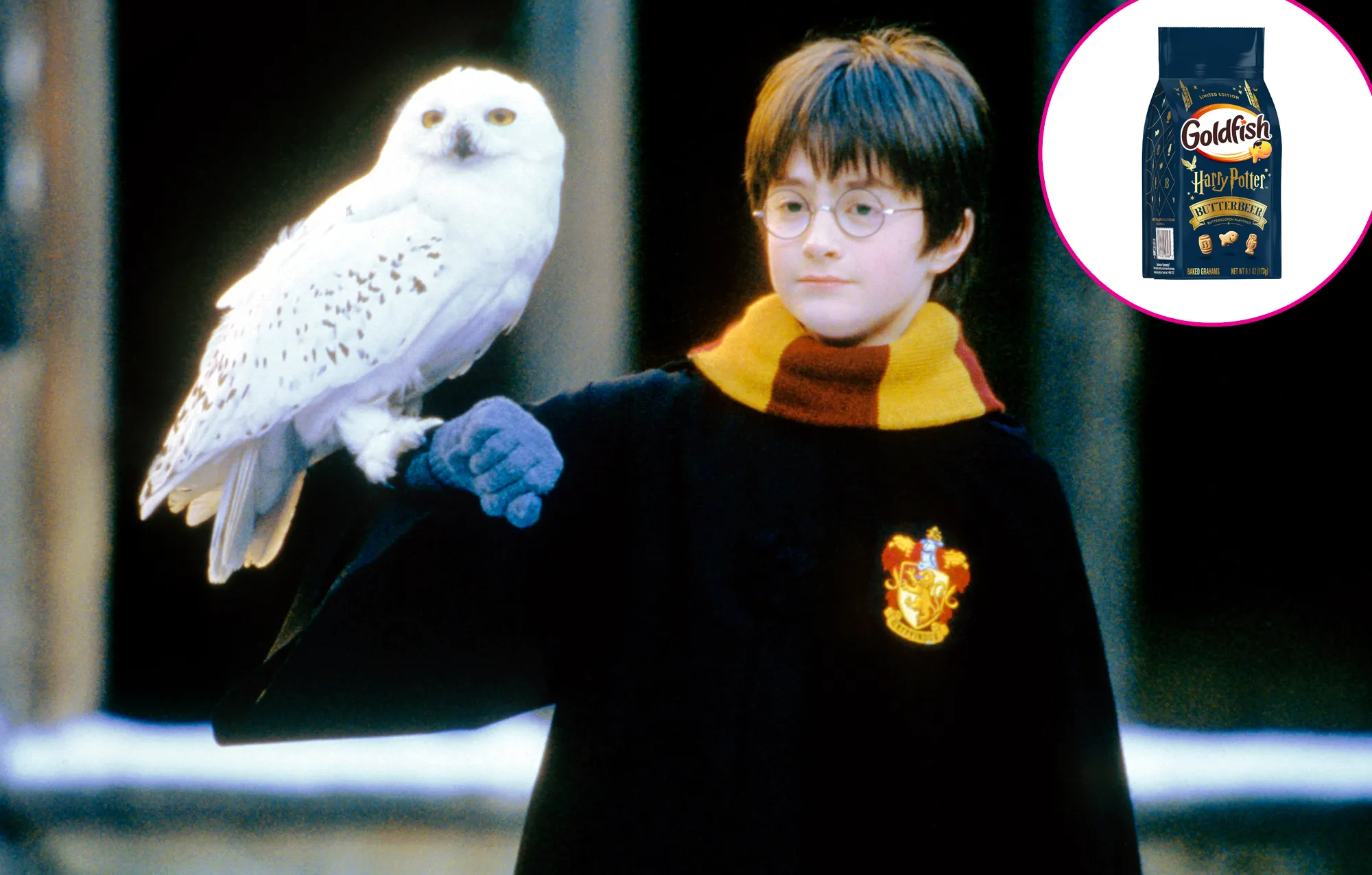 Promo Butterbeer Goldfish Cookies and More Inspired by Harry Potter