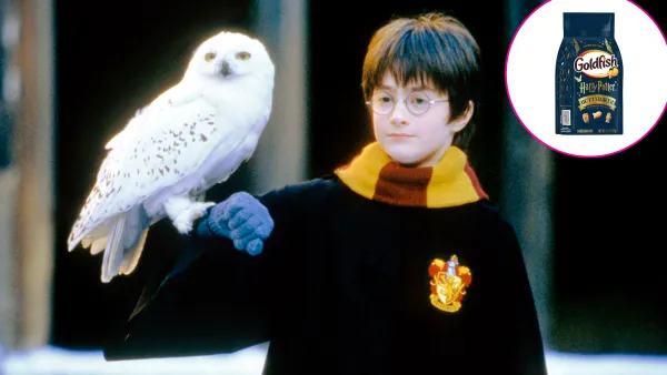 Promo Butterbeer Goldfish Cookies and More Inspired by Harry Potter