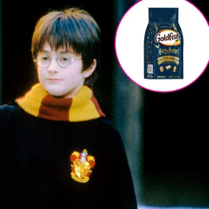 Promo Butterbeer Goldfish Cookies and More Inspired by Harry Potter