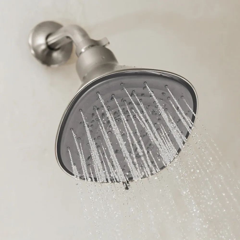 filtered showerhead