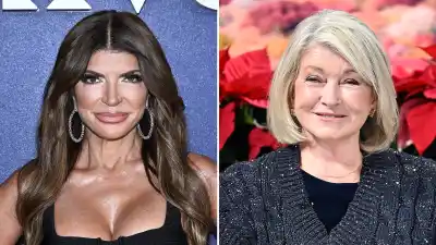 Stars Whove Had Tax Trouble