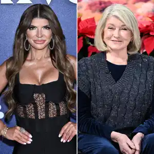 Stars Whove Had Tax Trouble