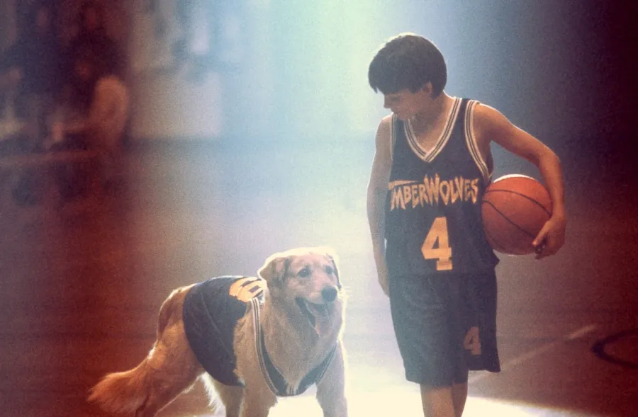 The Best Basketball Movies and TV Shows to Watch in Between March Madness