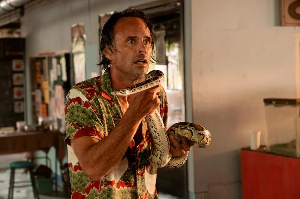 Walton Goggins Reveals He Had Penis Stunt Double on Righteous Gemstones A D&mdash; Double 819