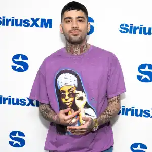 Zayn Malik Cancels Mexico Concert After Singer and Members of His Crew Got ‘Severe Food Poisoning'