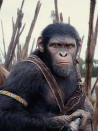 Two apes and a human woman prepare for battle in Kingdom of the Planet of the Apes.