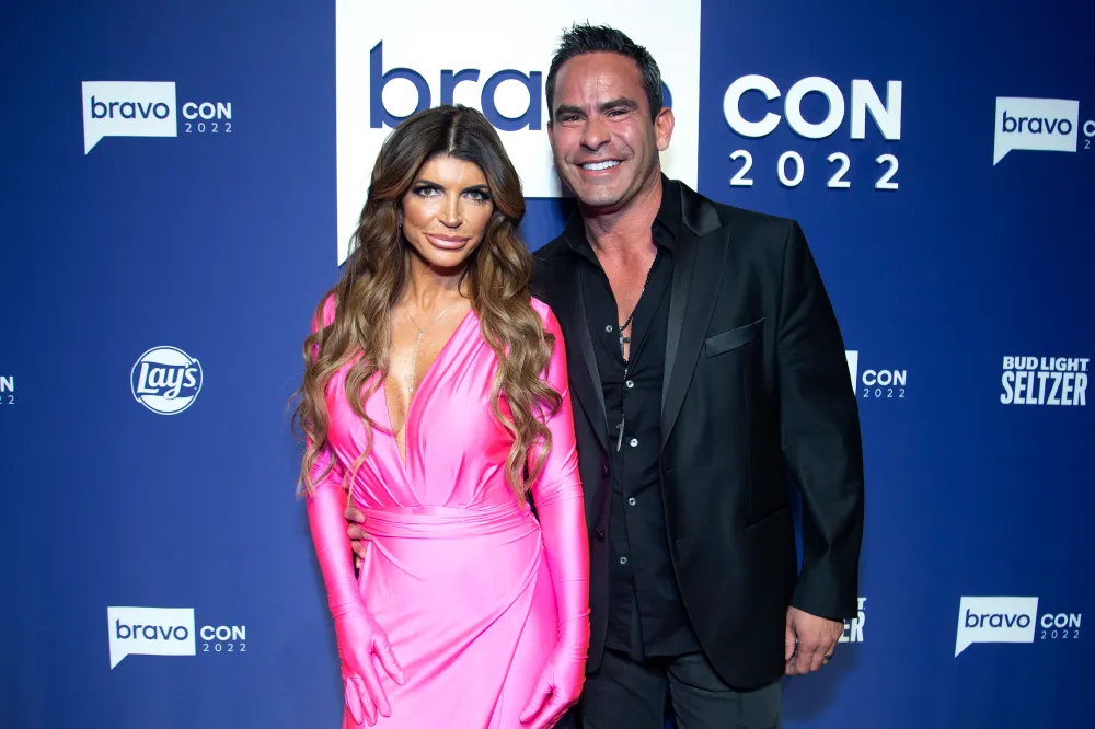 Lawyer Explains Teresa Giudice and Luis Ruelas Legal Drama