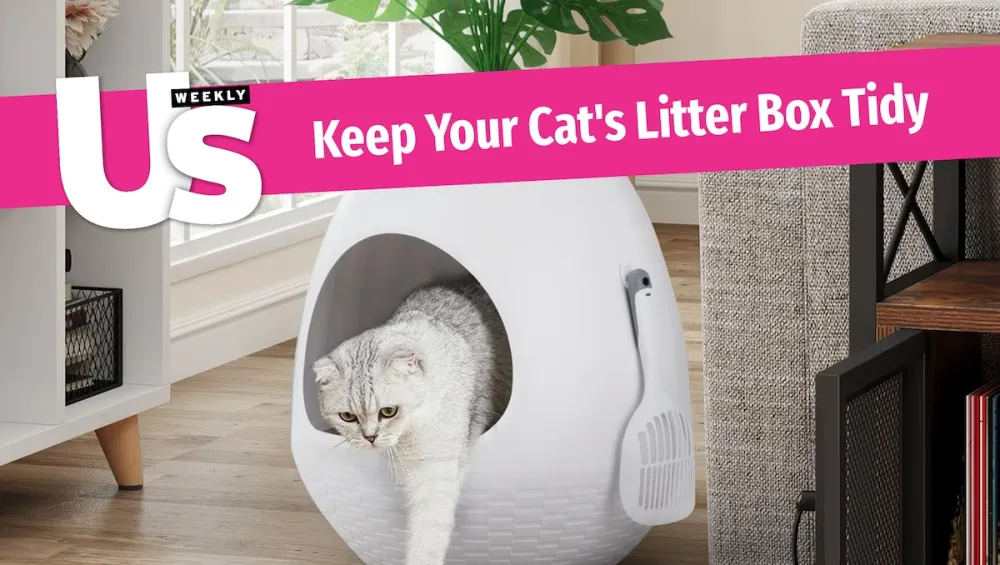 Litter Box 