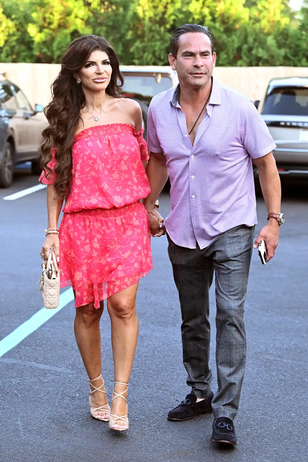 Teresa Giudice Husband Luis Ruelas Reportedly Requests Extension to Pay Back 1 Million Dollar Mortgage Loan