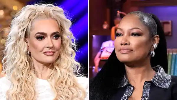 Why RHOBH Star Erika Jayne Is Shading Garcelle Beauvais Past Marriage