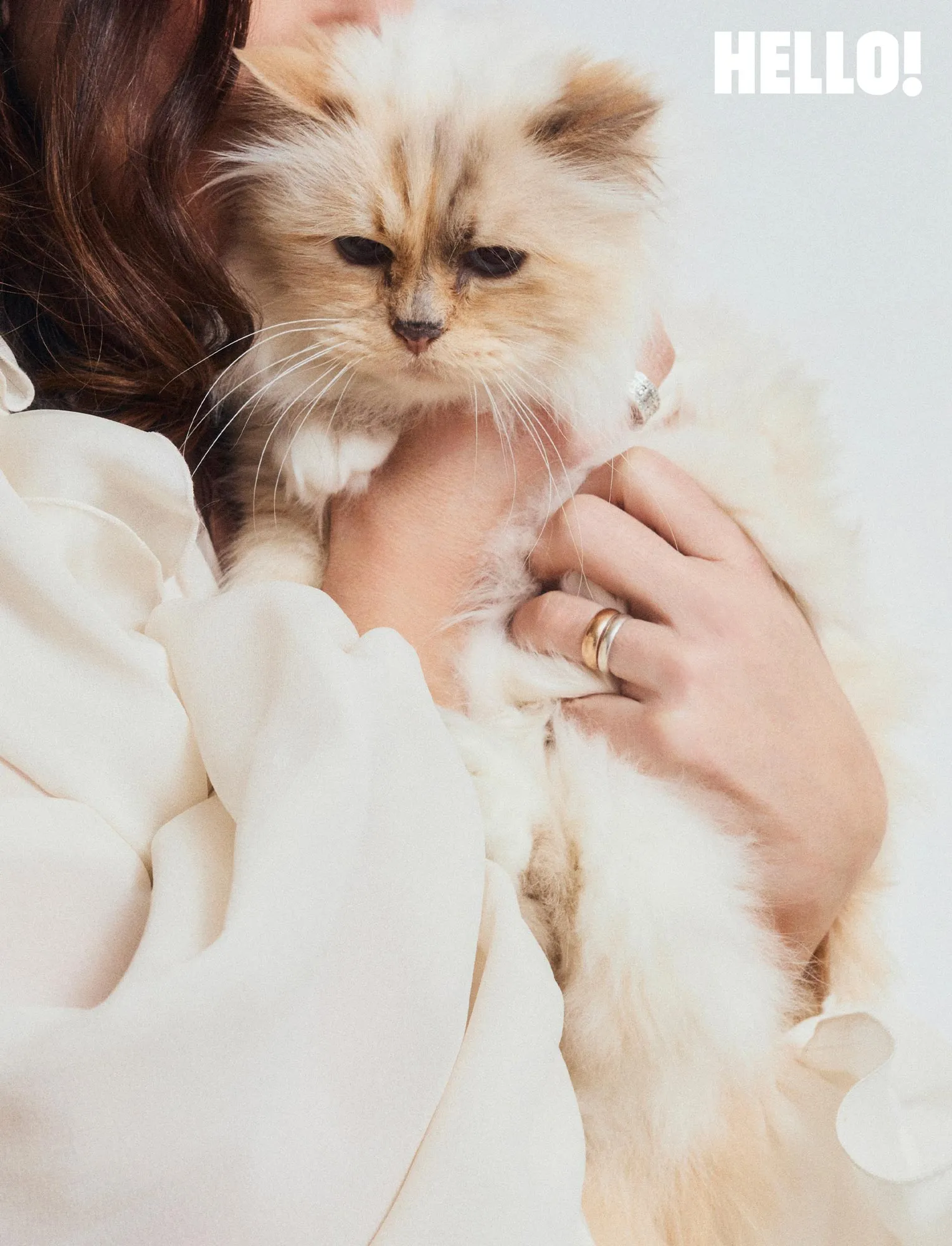 Inside the Glamorous Life of Karl Lagerfelds Cat Choupette