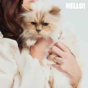 Inside the Glamorous Life of Karl Lagerfelds Cat Choupette