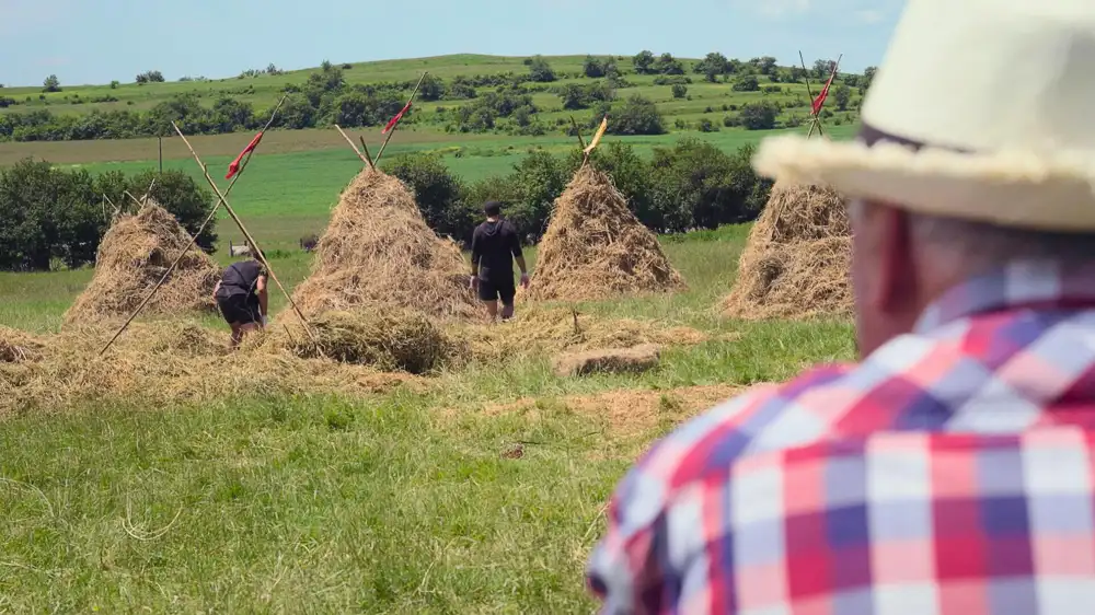 Amazing Race's Nick and Mike Fiorito Reveal They Needed 'Medical Attention' During Haystack Task