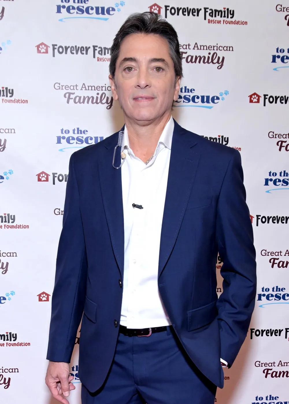 Celebs Who Live in Florida Bethenny Frankel Witney Carson Sylvester Stallone and More 2