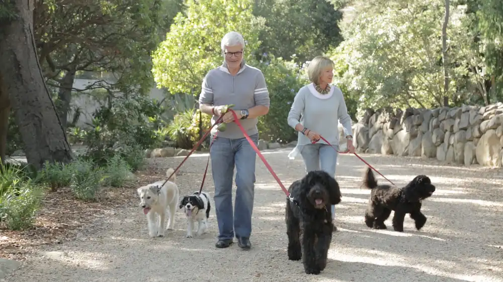 Doctor to the Stars Shares his 7 daily tips with US Weekly for a Healthier Life 5