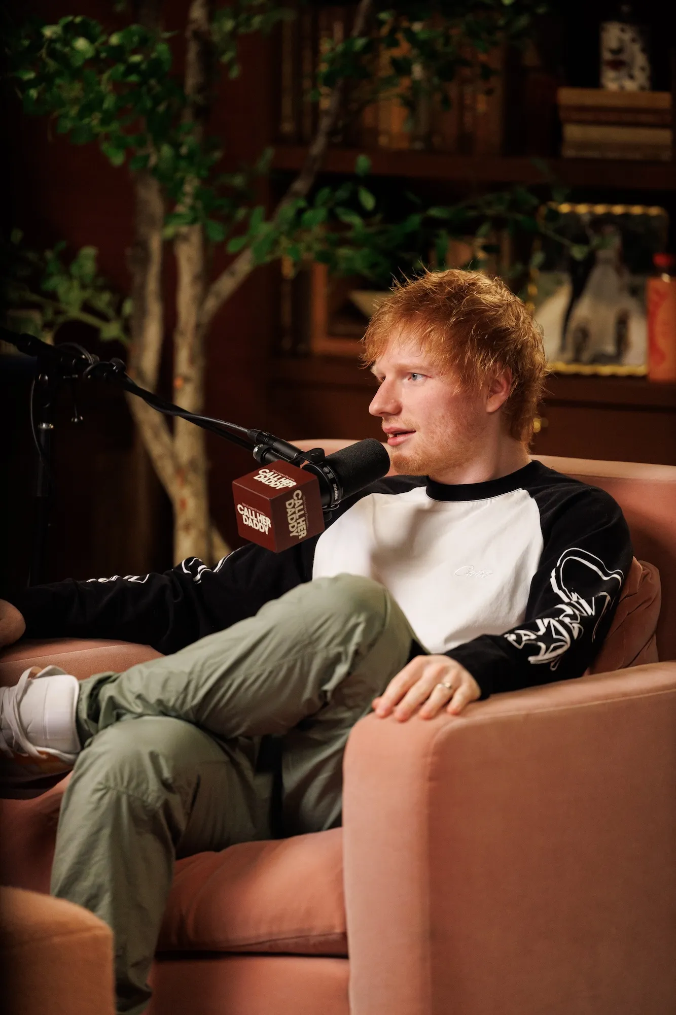 Ed Sheeran Begged Hotel Employees to Never Share Details After Naked Drunken Mistake