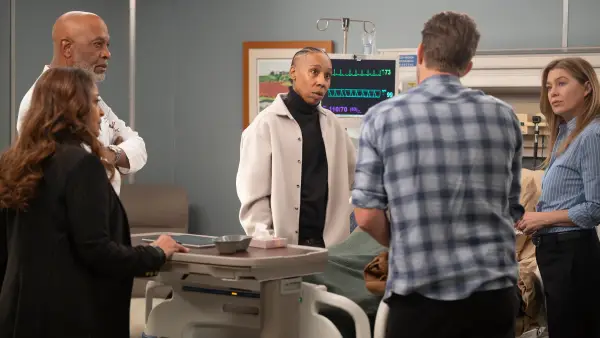 Ellen Pompeo Grey's Anatomy Storyline