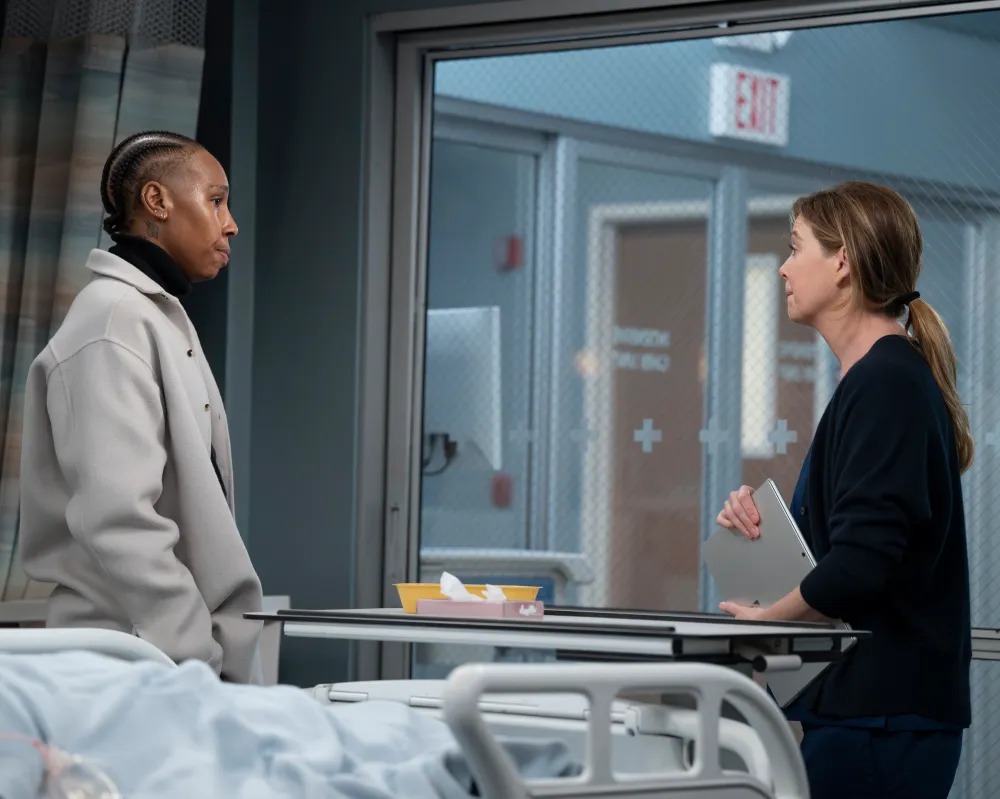 Ellen Pompeo Grey's Anatomy Storyline