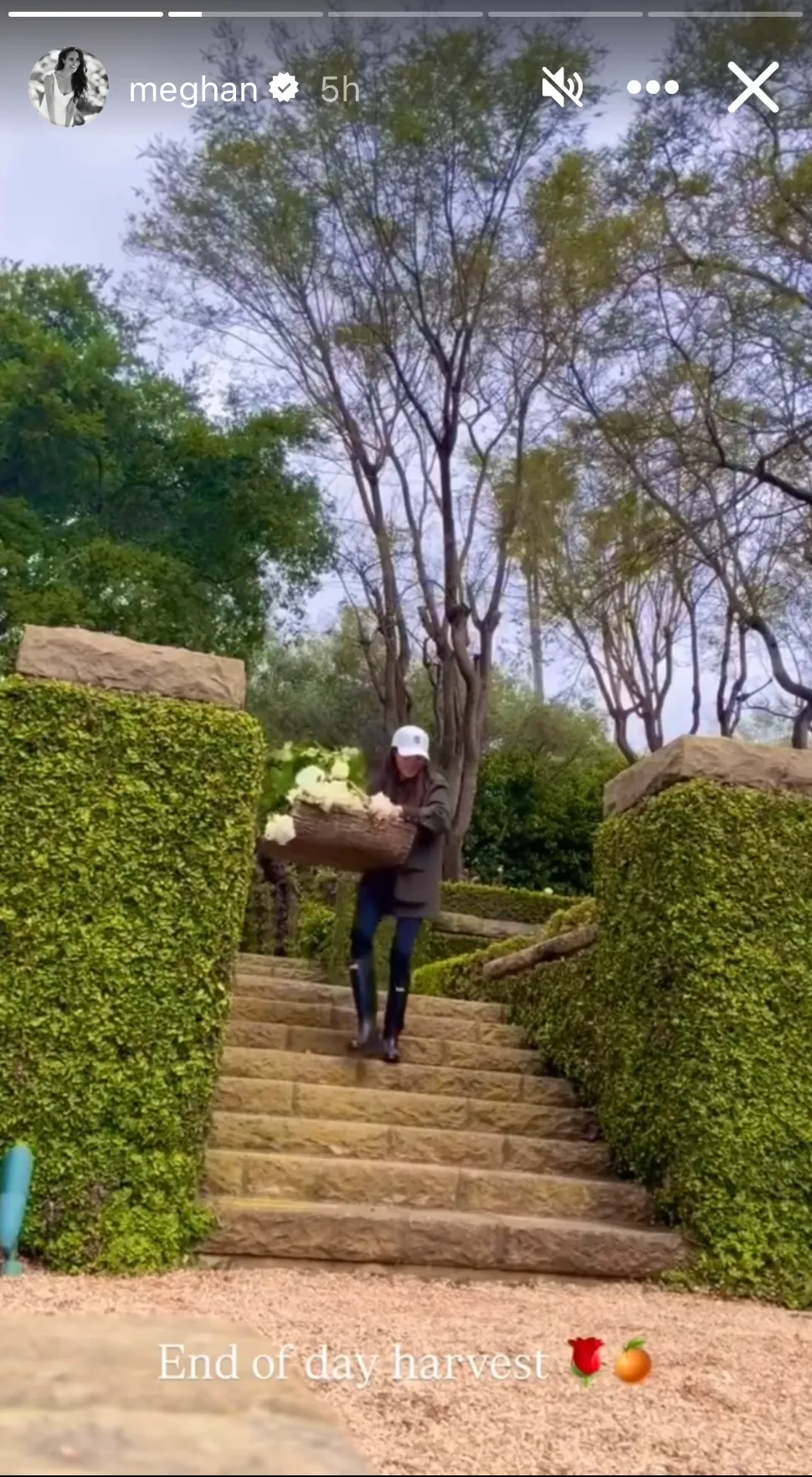 Meghan Markle's Instagram Story