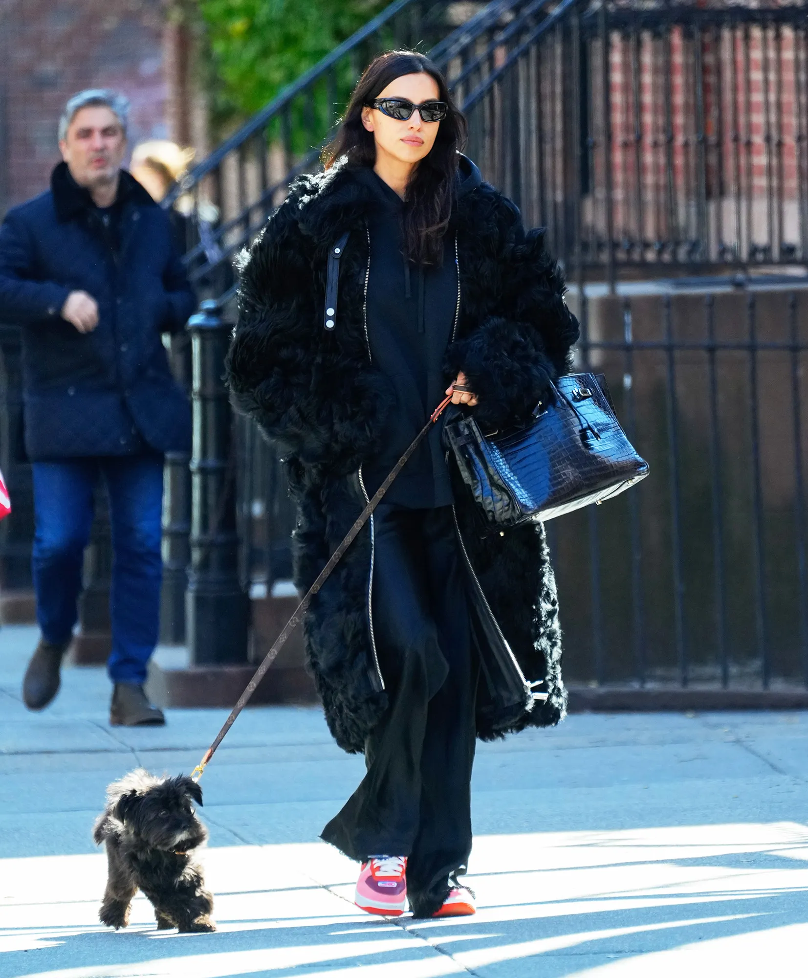 Irina Shayk Takes the Birkin Bag on a Dog Walk