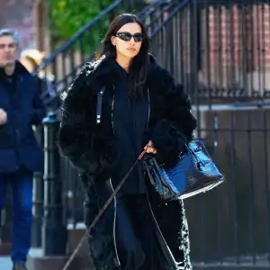 Irina Shayk Takes the Birkin Bag on a Dog Walk
