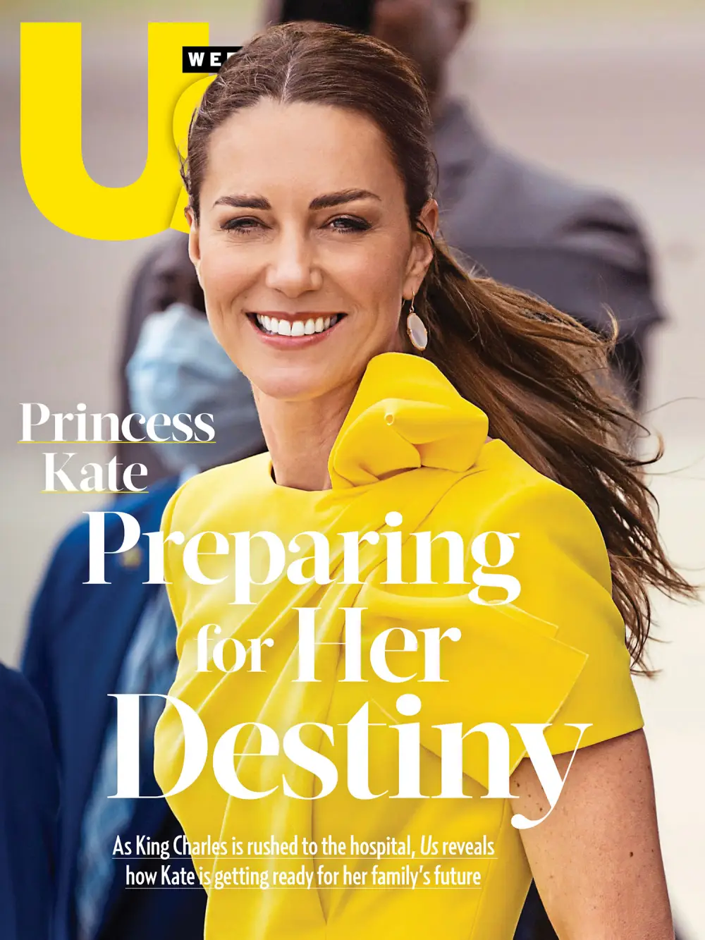 Kate Middleton 2516 Luxury Handbag Shopping Cover No Chip