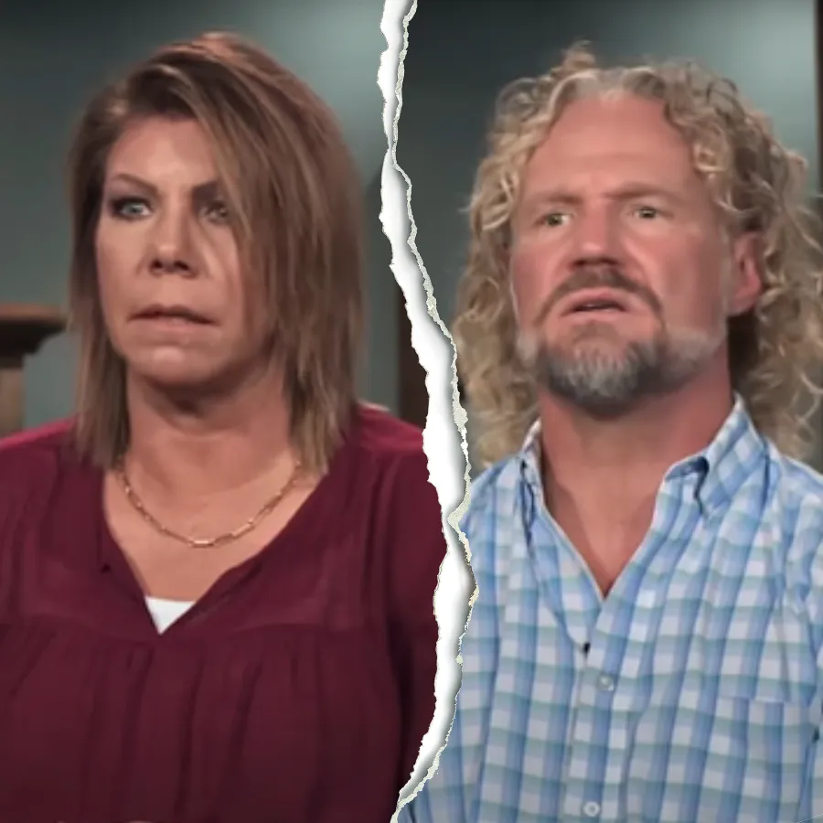 Meri Brown Through the Years