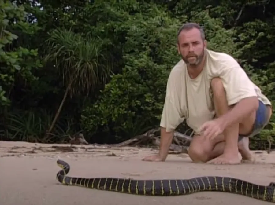 Survivor Rules and Regulations