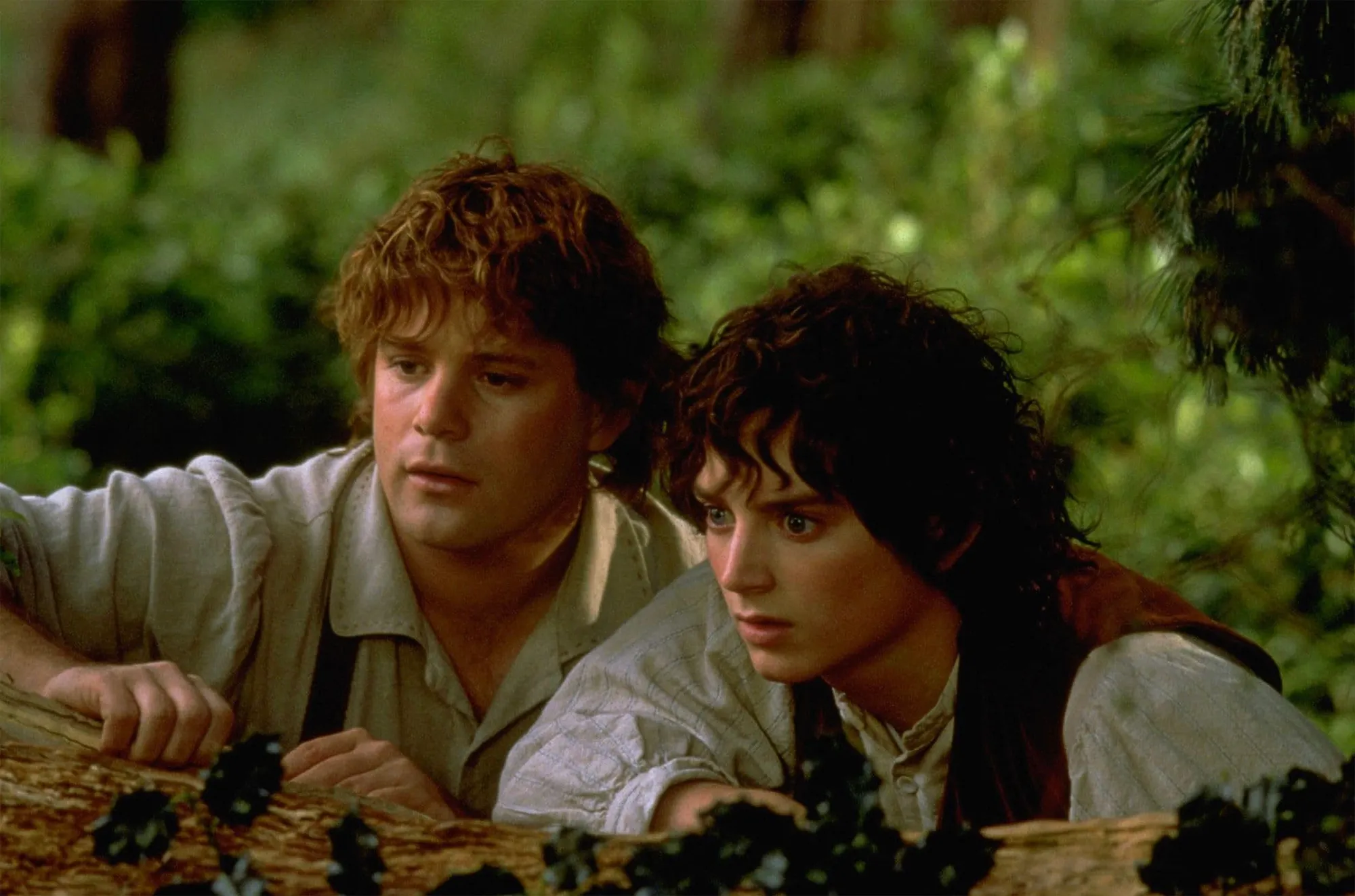 The 'Lord of the Rings' Cast's Honest Quotes About Being Underpaid for Billion-Dollar Franchise