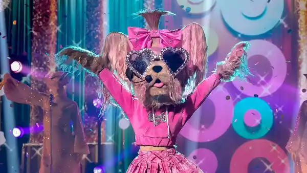 The Masked Singers Spoiler Couldnt See Inside Adorable Yorkie Costume